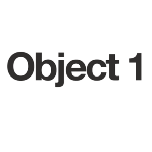 About the Developer – Object 1 